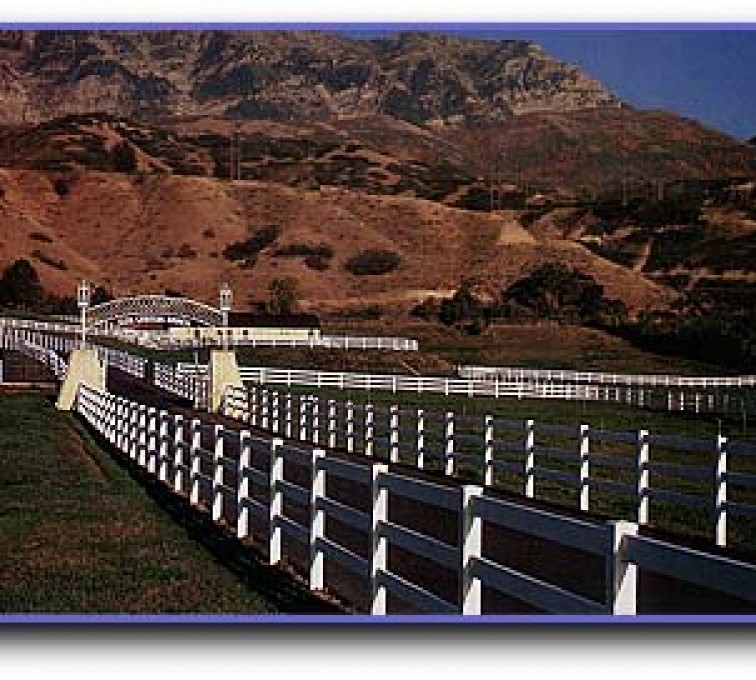 AFC Grand Island - Vinyl Fencing, 3 Ranch Rail (956)